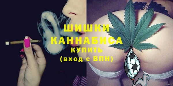 ПСИЛОЦИБИНОВЫЕ ГРИБЫ Новодвинск