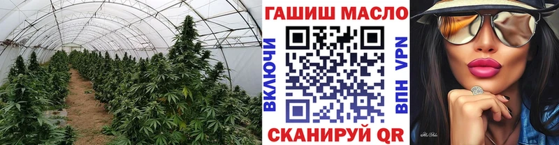 Дистиллят ТГК гашишное масло  Тайга 