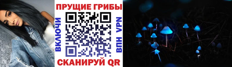 мега зеркало  Тайга  Псилоцибиновые грибы GOLDEN TEACHER  продажа наркотиков 